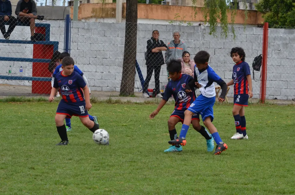 WhatsApp Image 2024-11-04 at 19.37.07 (1)