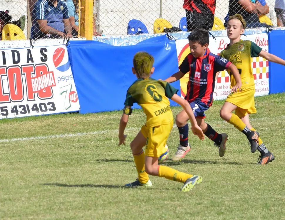 WhatsApp Image 2025-11-08 at 20.54.19 (4)