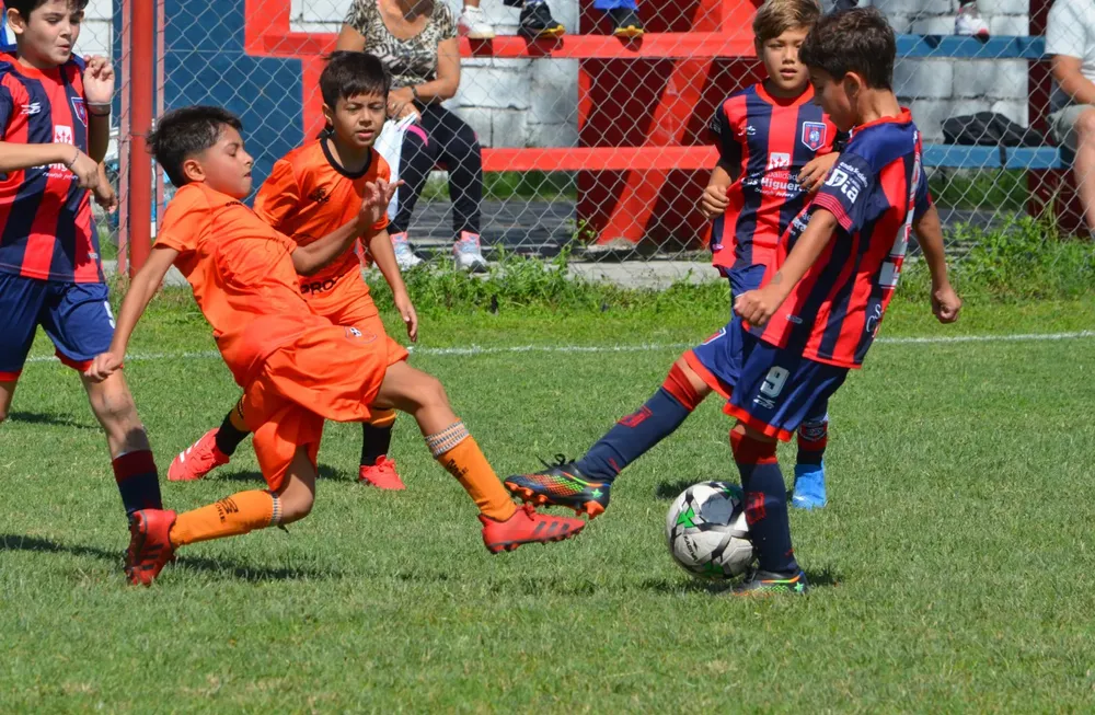 WhatsApp Image 2025-03-31 at 16.38.32 (3)