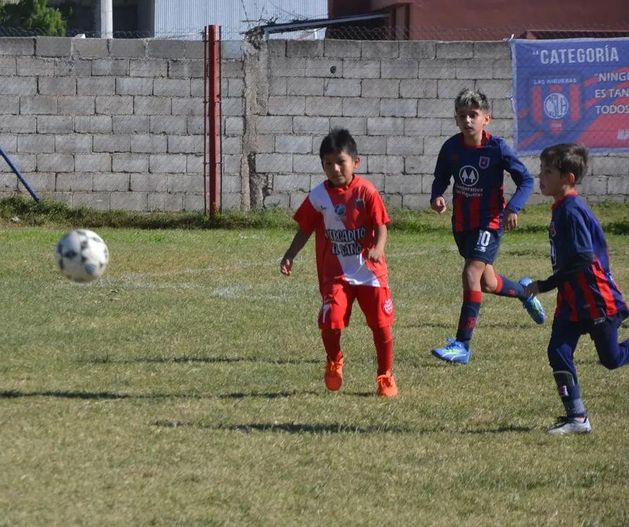 WhatsApp Image 2024-05-12 at 16.46.33