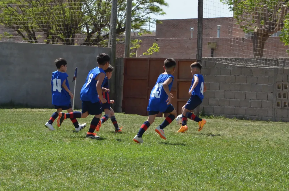 WhatsApp Image 2024-09-29 at 12.51.05 (6)