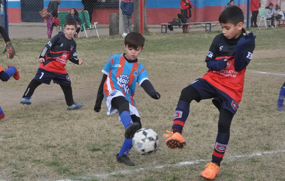 Centro Social Las Higueras Infanto Juvenil Ateneo Vecinos (107)