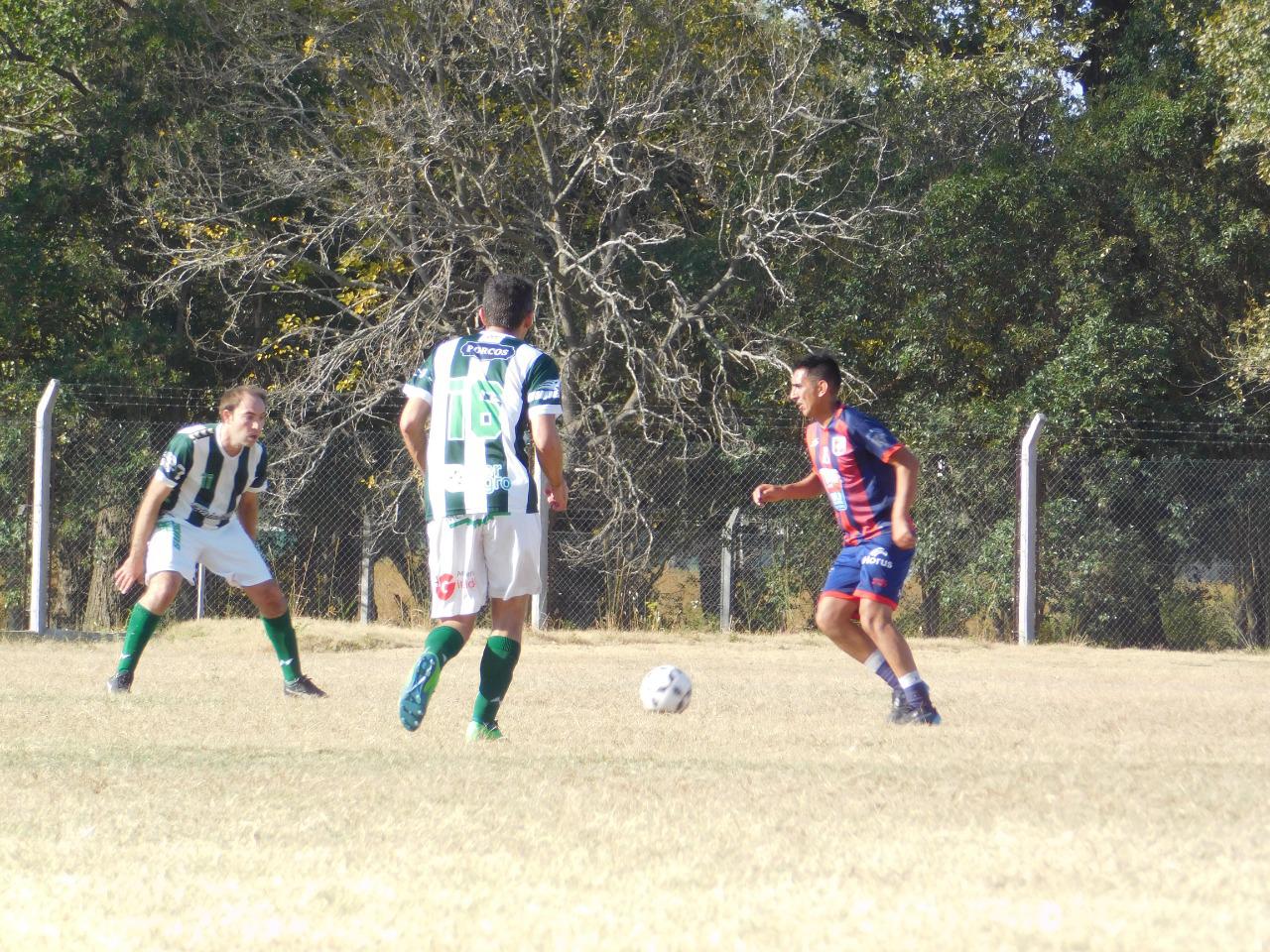 Profesionales Comunicadores (18)