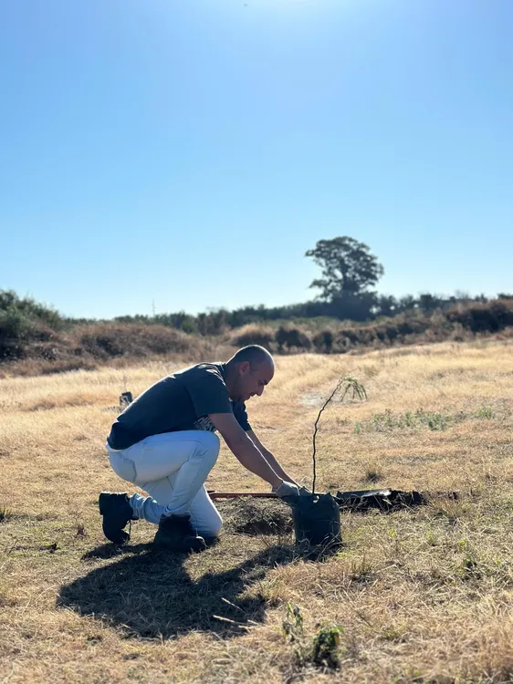 plantacion colectiva (3)