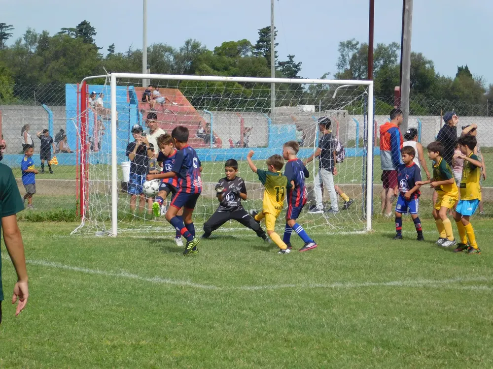 WhatsApp Image 2024-03-05 at 11.10.33 (28)