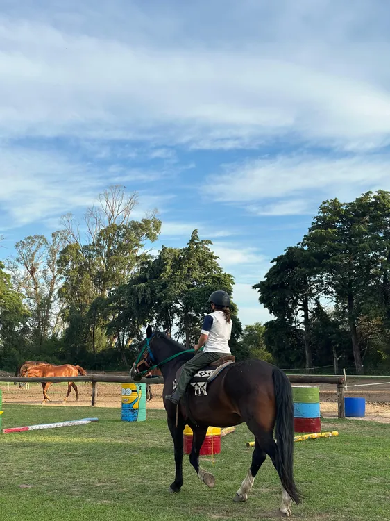 EQUINOTERAPIA Y MONTA (10)