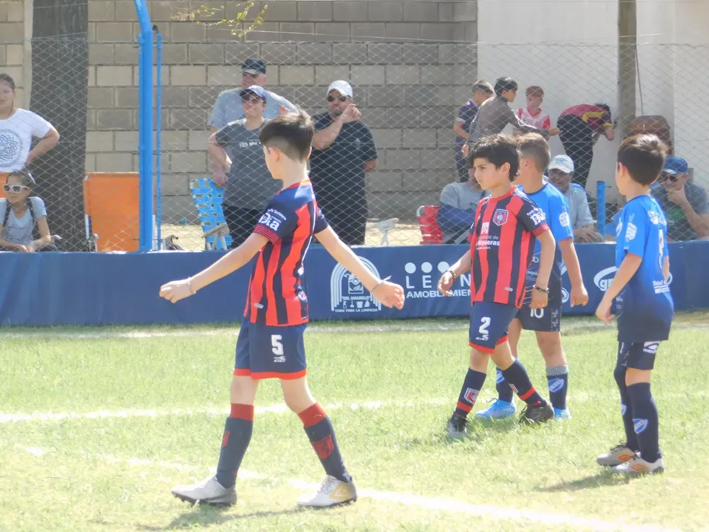 WhatsApp Image 2024-09-23 at 16.48.06