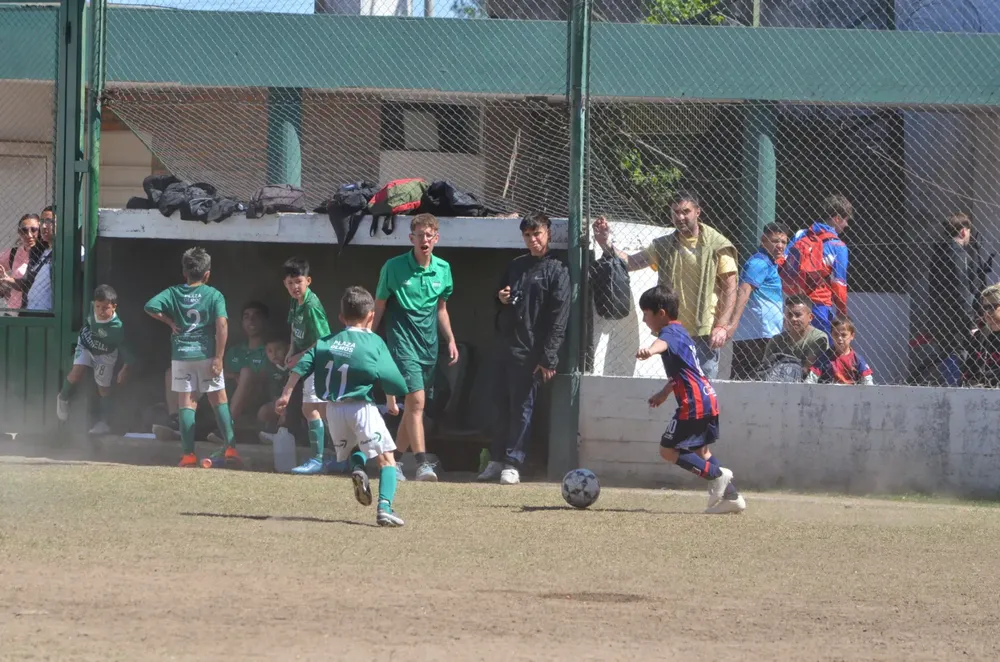 WhatsApp Image 2024-09-16 at 20.49.13 (5)