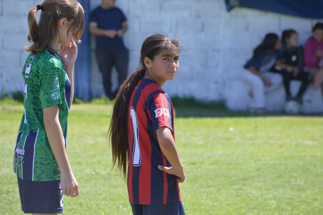 WhatsApp Image 2024-10-28 at 21.55.15