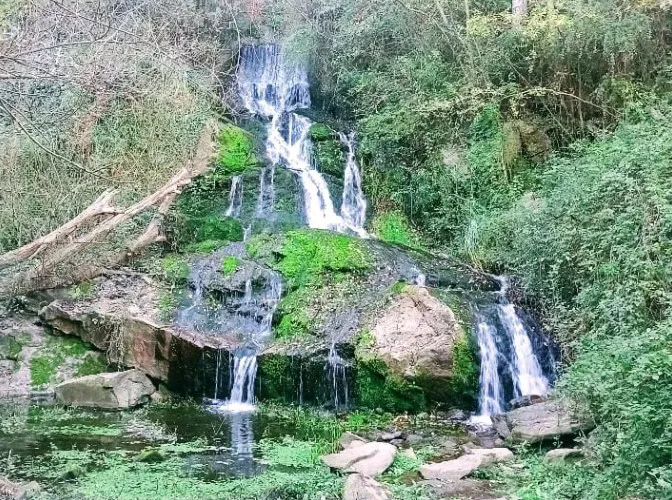 San Jeronimo ok