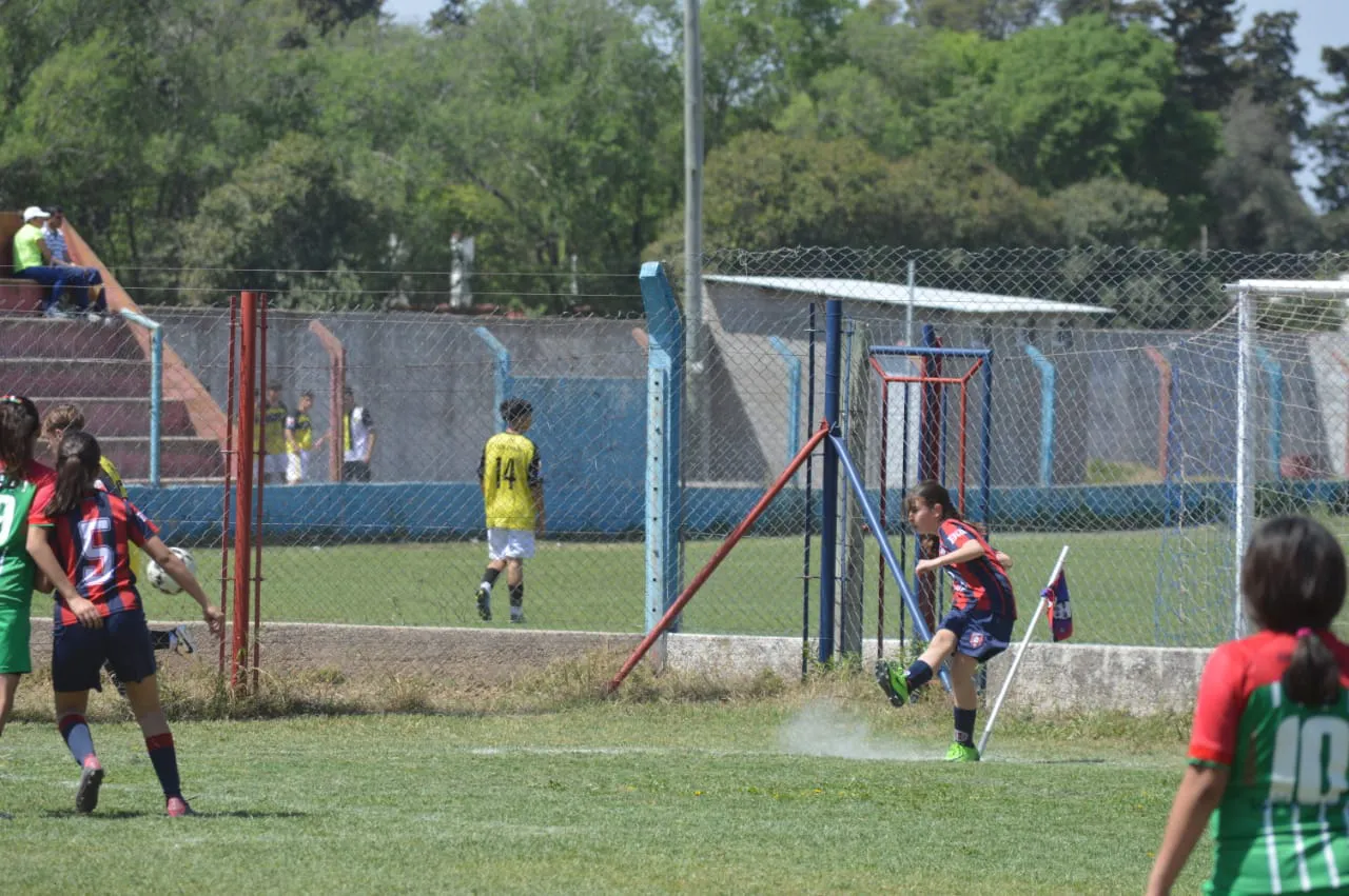 WhatsApp Image 2024-09-28 at 14.26.45