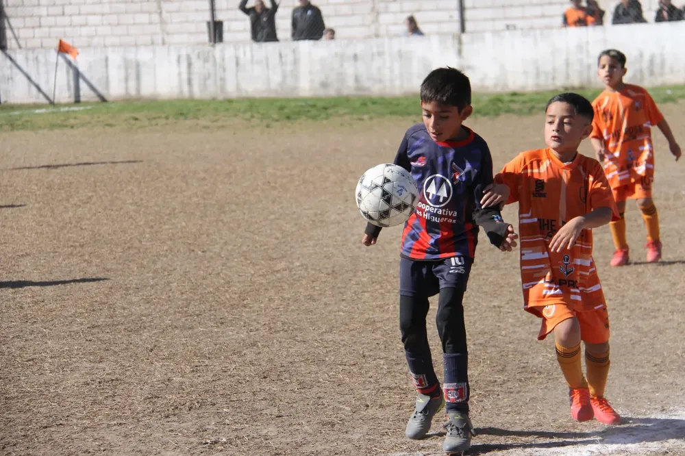 Centro Social Infanto Juvenil Renato Cesarini Olaeta Socialeritas (43)