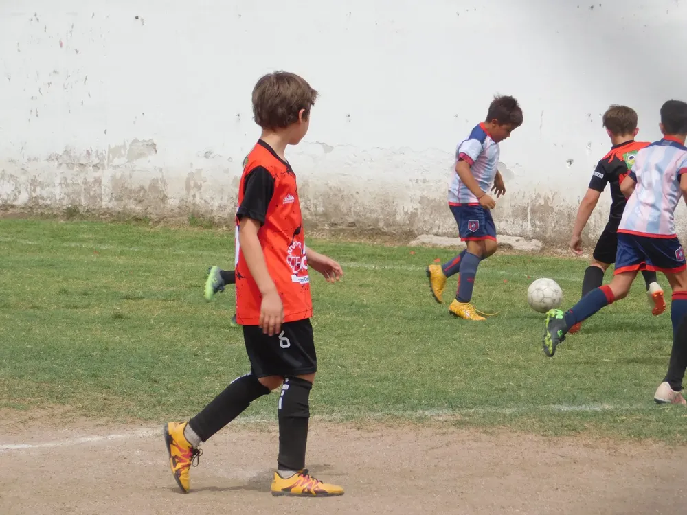 WhatsApp Image 2024-11-17 at 18.08.18 (8)