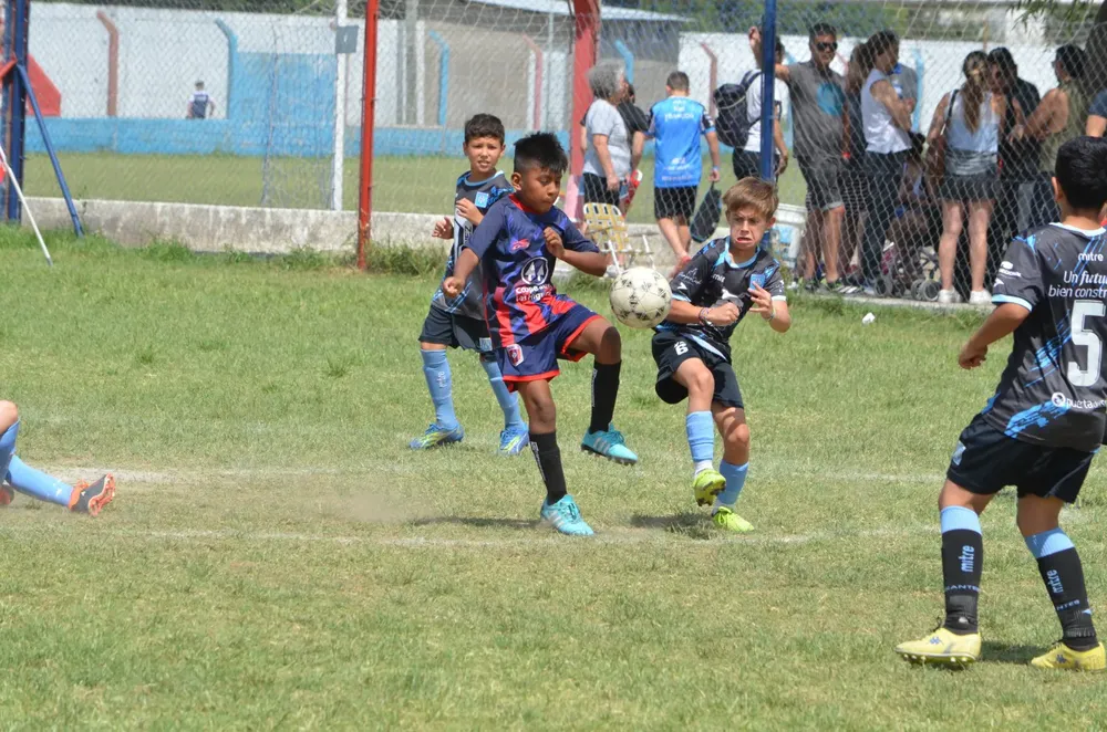 WhatsApp Image 2024-11-17 at 13.10.22 (10)