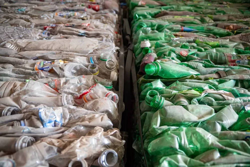 WhatsApp Image 2023-05-05 at 11.40.38 (1)