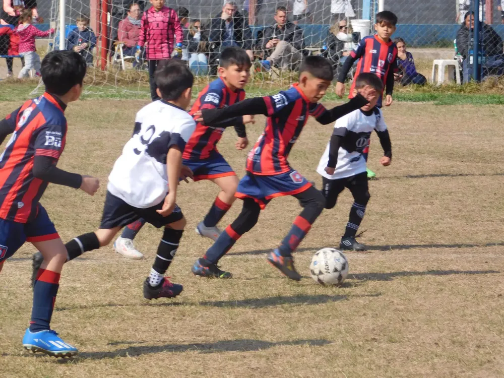 WhatsApp Image 2024-08-19 at 15.04.47 (24)