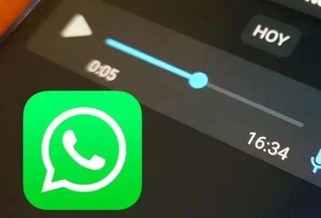 Captura de pantalla 2024-11-27 223909