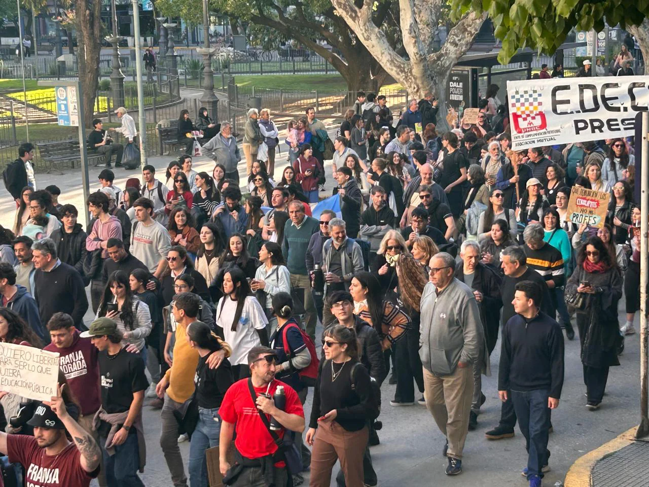 MARCHA (7)