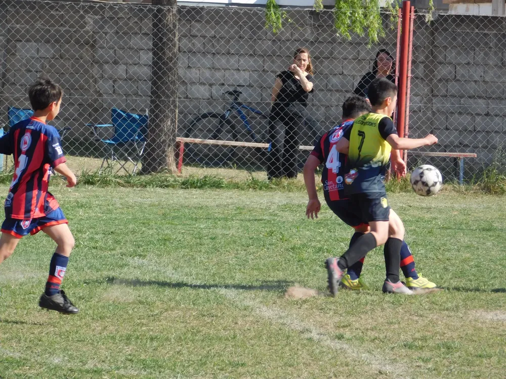 WhatsApp Image 2024-09-29 at 20.26.31 (24)