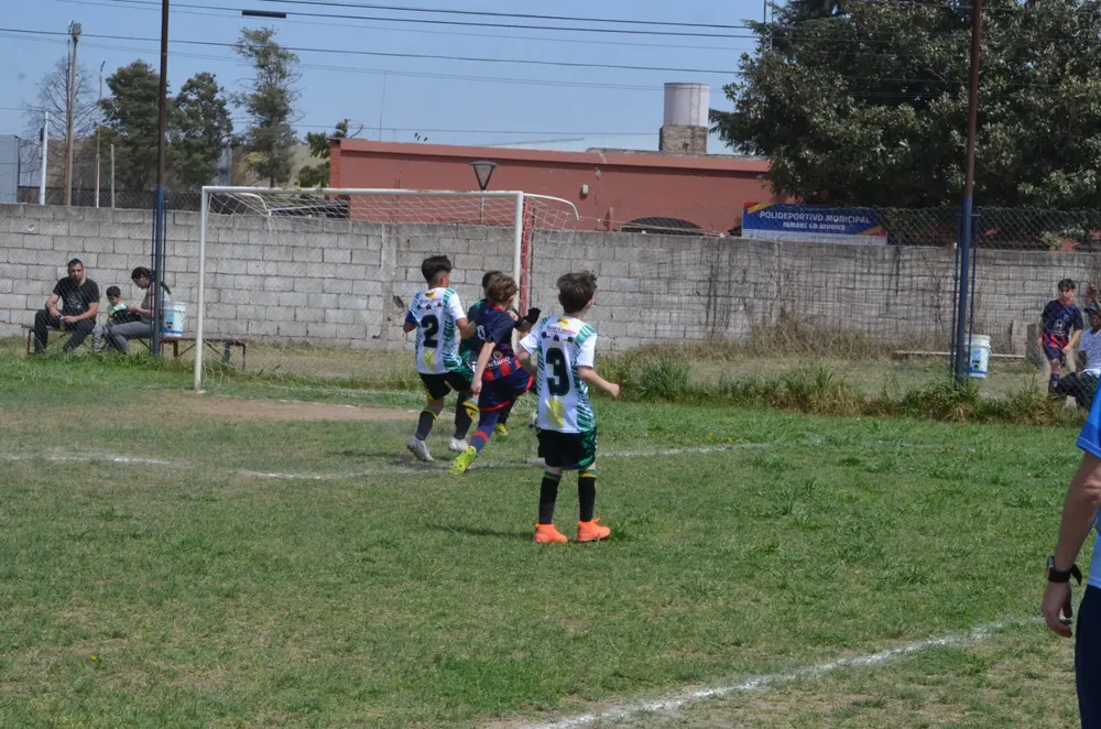 WhatsApp Image 2024-09-23 at 16.31.15 (2)