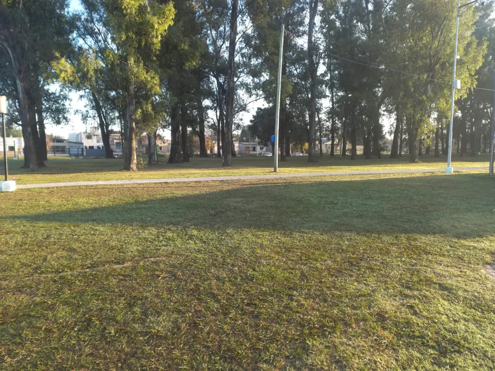 Imagen de WhatsApp 2025-07-21 a las 07.43.08_fc5918ed