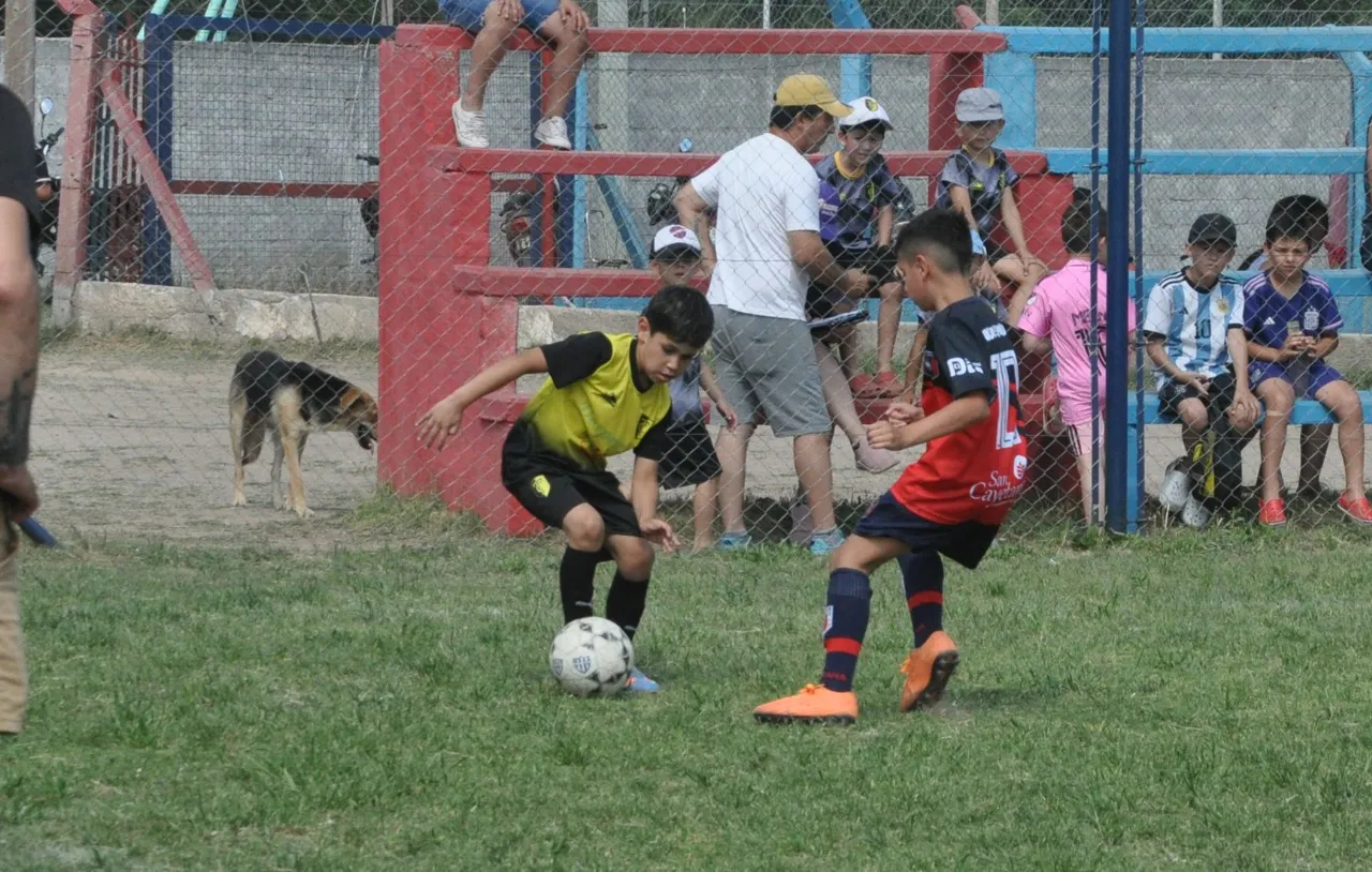 Centro Social Banda Norte B Correos y Telecomunicaciones (83)