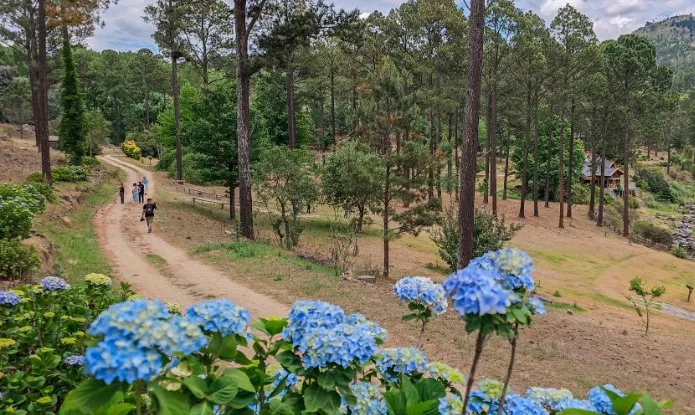 Captura de pantalla 2024-09-29 104610