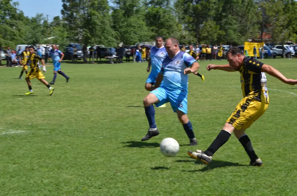 WhatsApp Image 2024-11-07 at 19.35.50