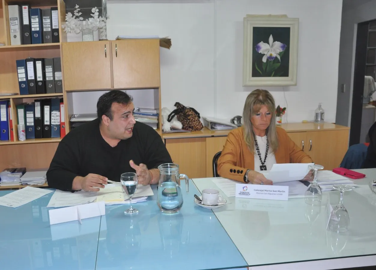 Concejo Deliberante Las Higueras (3)