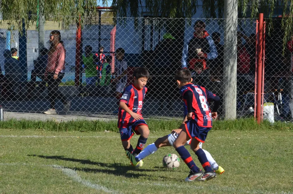 IMG-20250531-WA0109