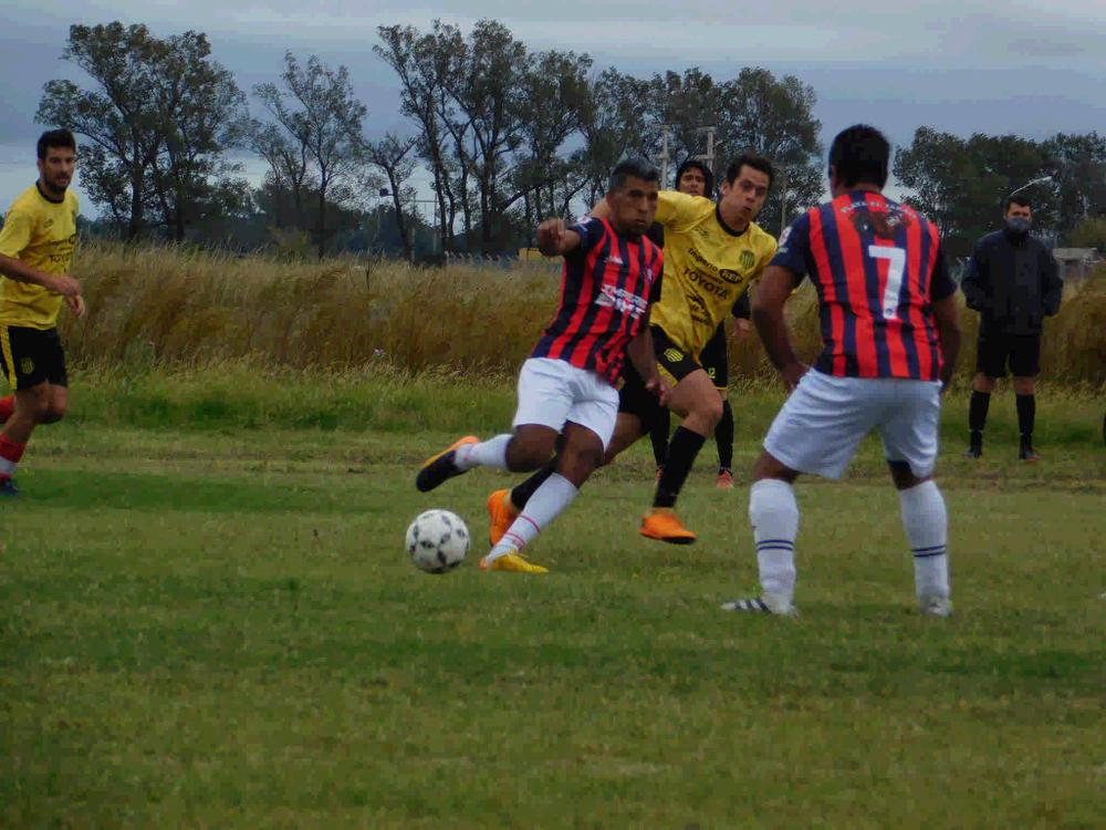 Profesionales vs Visitadores Medicos_20