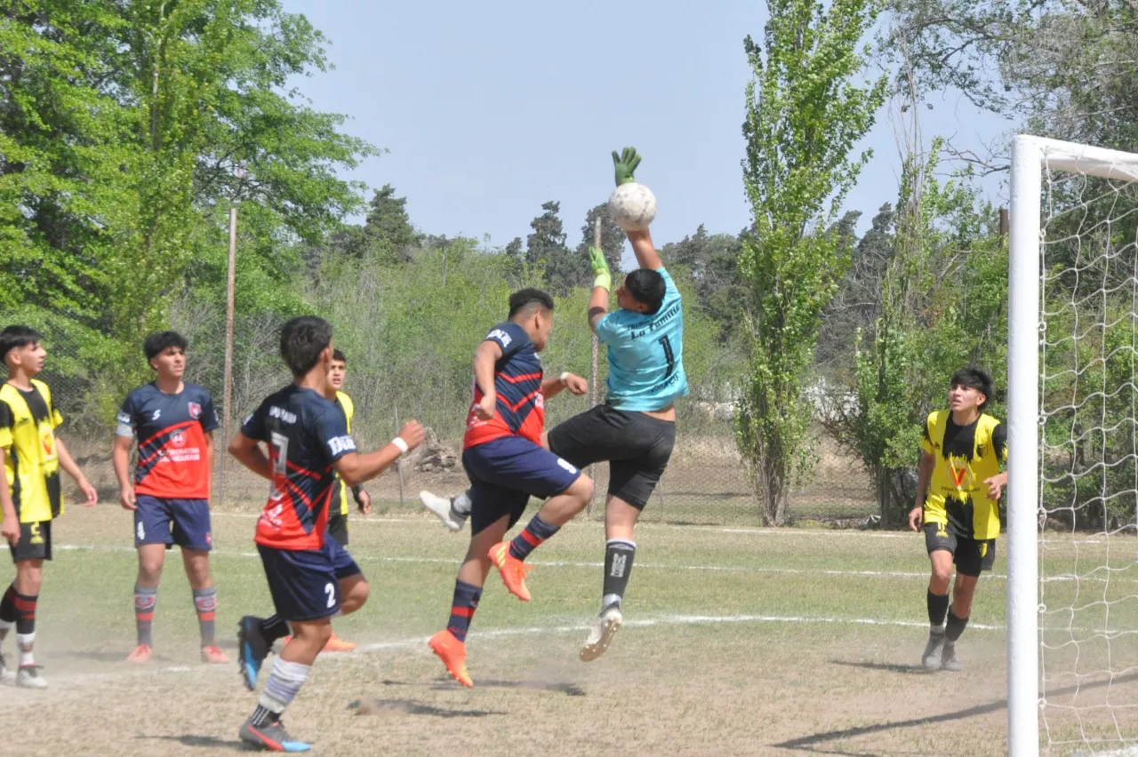 Centro Social Las Higueras Correos y Telecomunicaciones Deportivo Municipal Adela María (23)