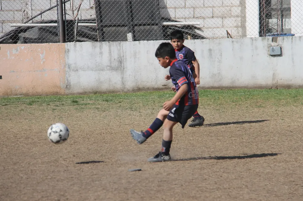 Centro Social Infanto Juvenil Renato Cesarini Olaeta Socialeritas (52)