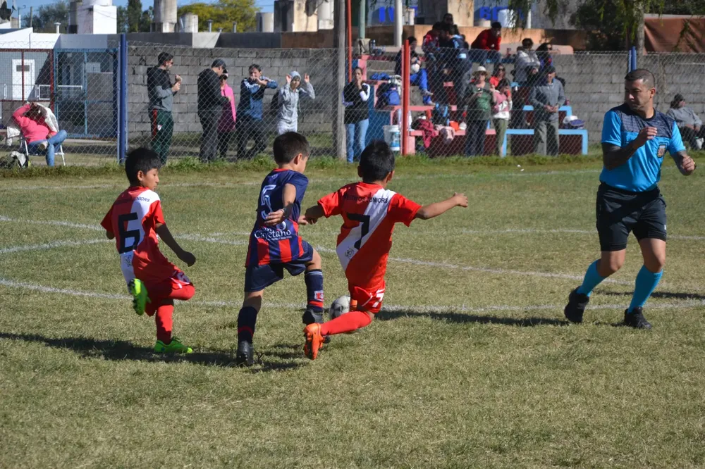 WhatsApp Image 2024-05-12 at 16.46.33 (1)