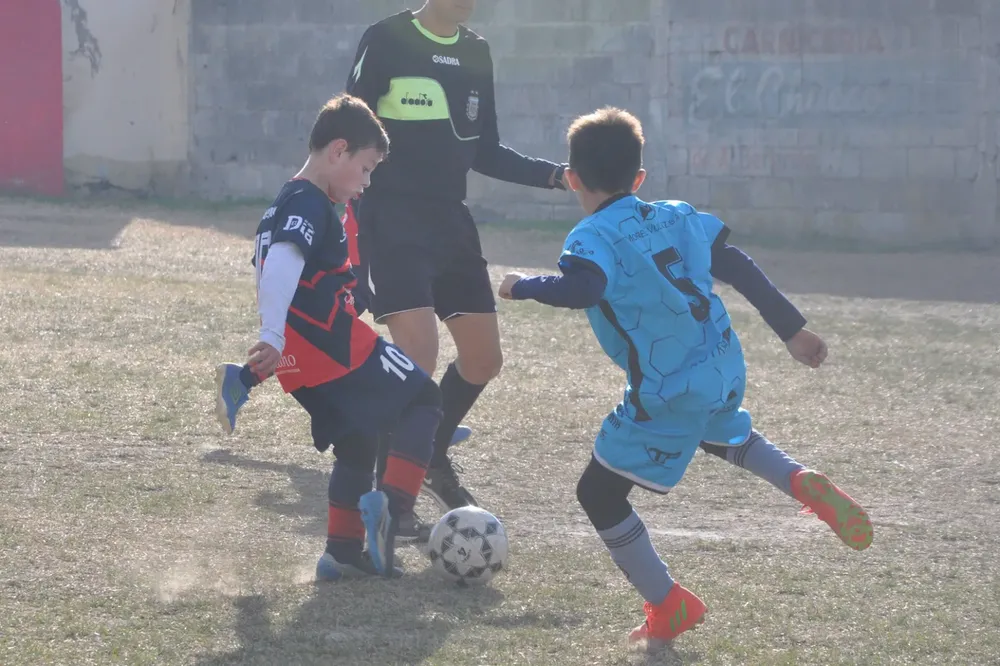 WhatsApp Image 2023-07-02 at 13.34.09 (19)