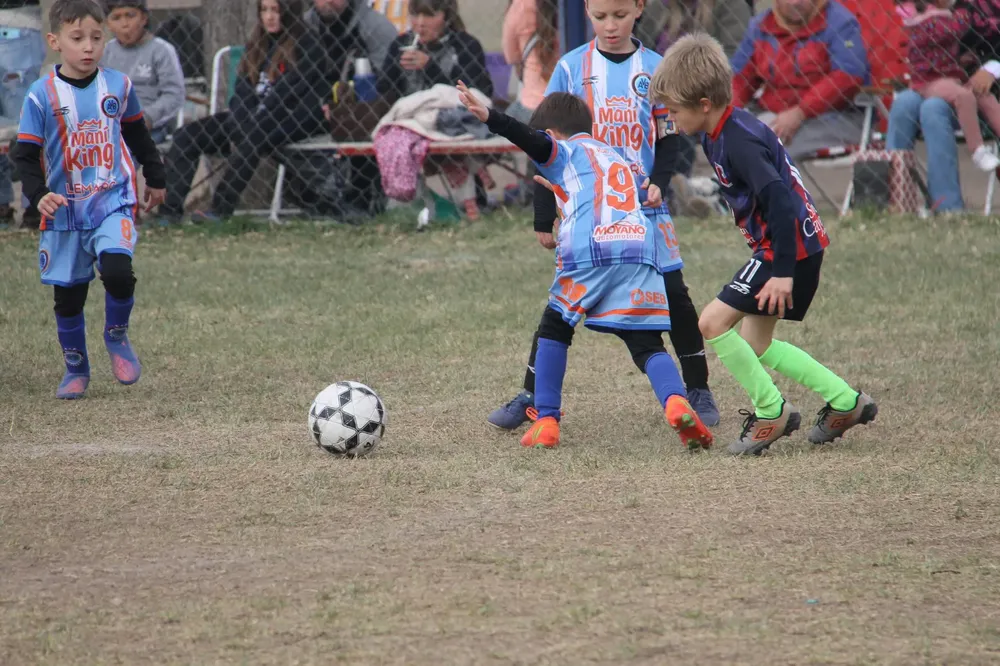 Centro Social Las Higueras Infanto Juvenil Ateneo Vecinos (22)