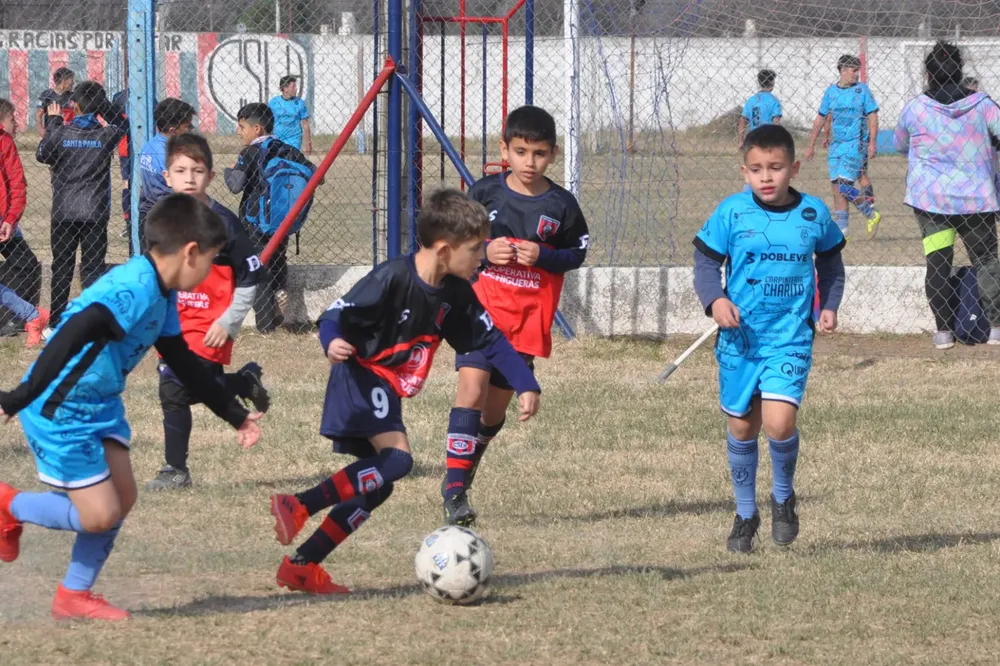 WhatsApp Image 2023-07-02 at 13.33.11 (27)