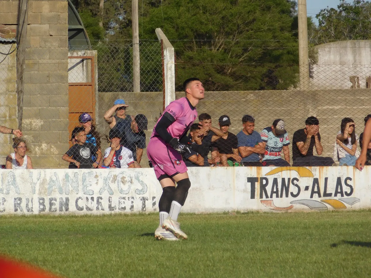 San Lorenzo de Bulnes Centro Social Las Higueras  (48)