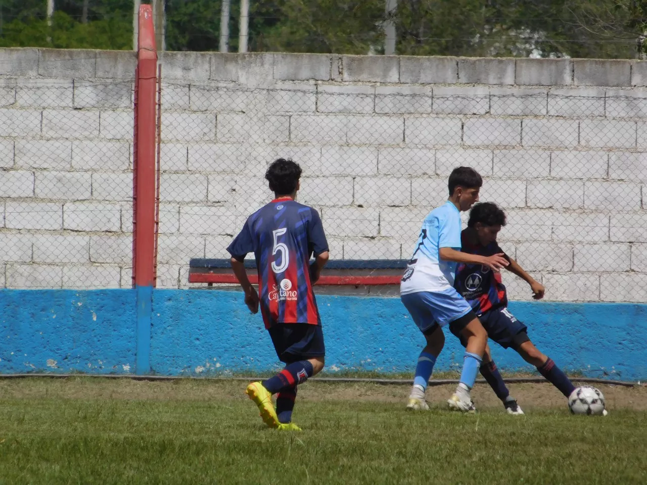 Centro Social Las Higueras Correos y Telecomunicaciones Deportivo Municipal Adela María (146)