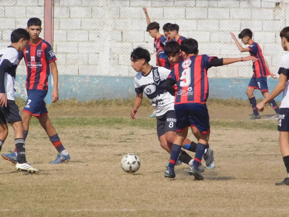 WhatsApp Image 2024-08-19 at 15.04.47 (7)