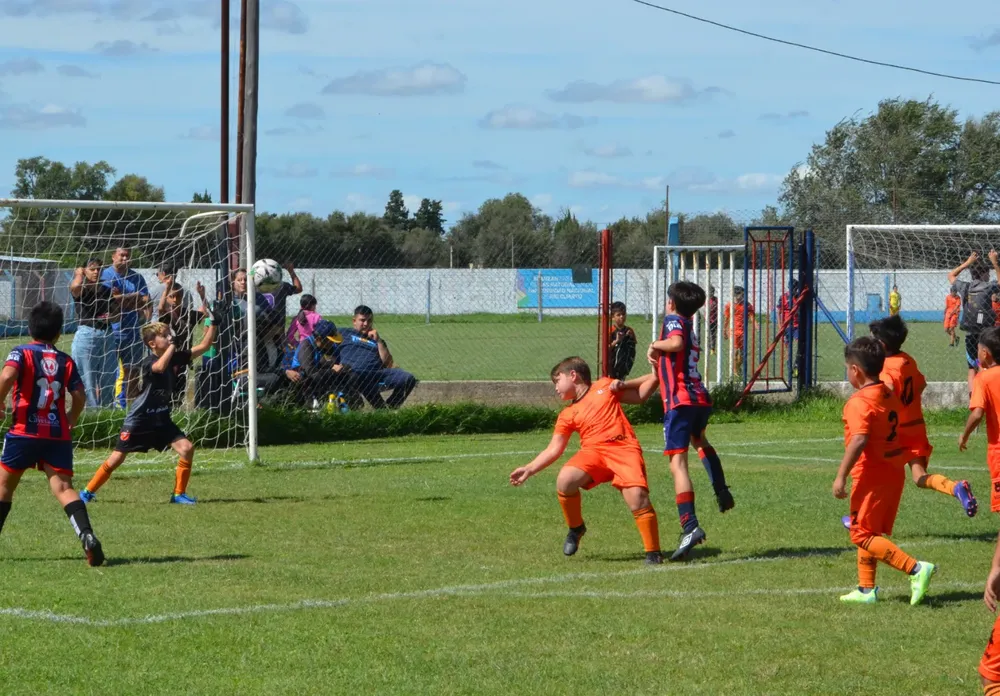 WhatsApp Image 2025-03-31 at 16.38.32 (5)