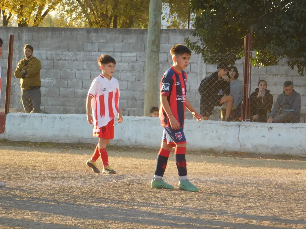 Centro Social Sp Municipal Confraternidad Infanto Juvenil (175)