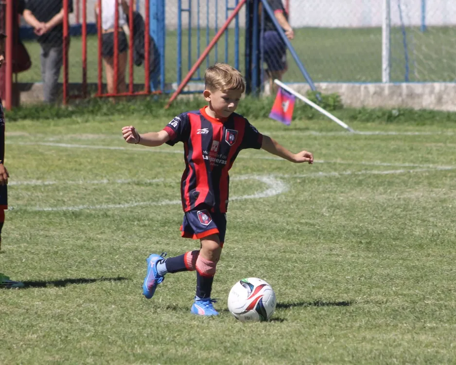 WhatsApp Image 2026-03-25 at 20.47.36 (2)