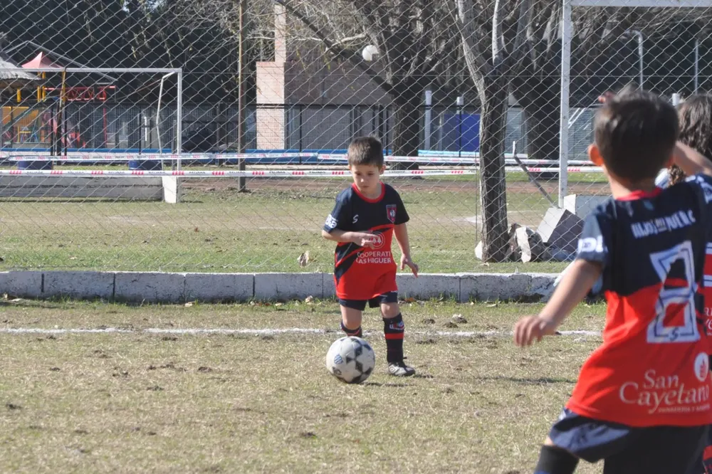 Centro Social Infanto Juvenil Renato Cesarini Olaeta Socialeritas (235)