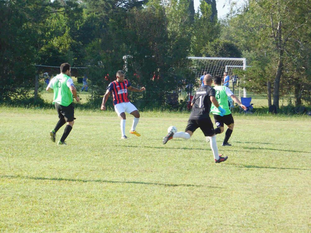 Profesionales  Fecha 4_2