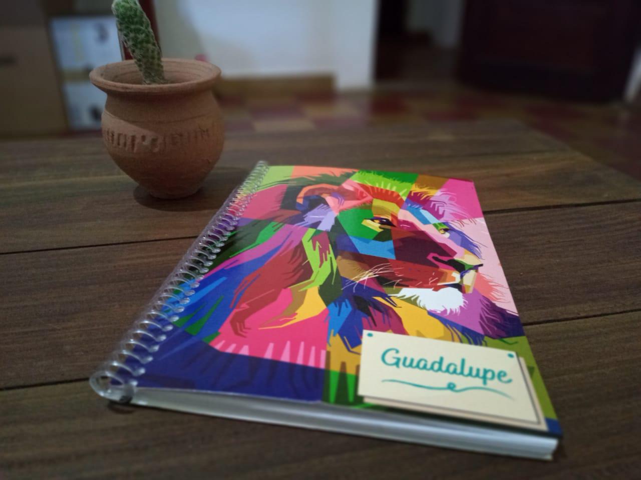 Plan B Sublimación (1)