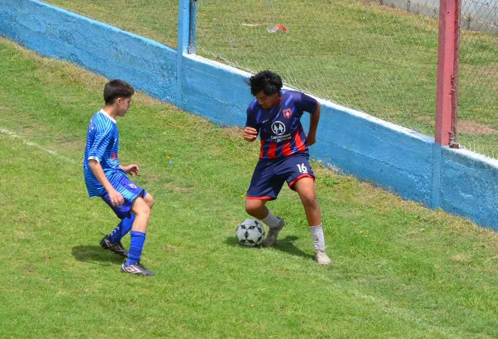 WhatsApp Image 2024-11-04 at 19.37.12 (1)