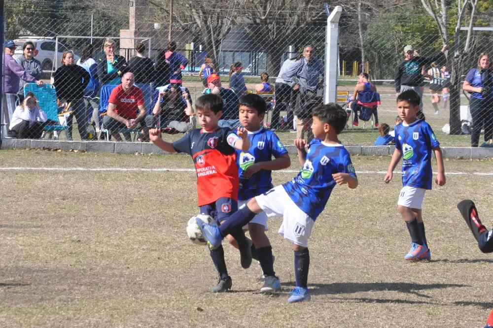 Centro Social Infanto Juvenil Renato Cesarini Olaeta Socialeritas (249)