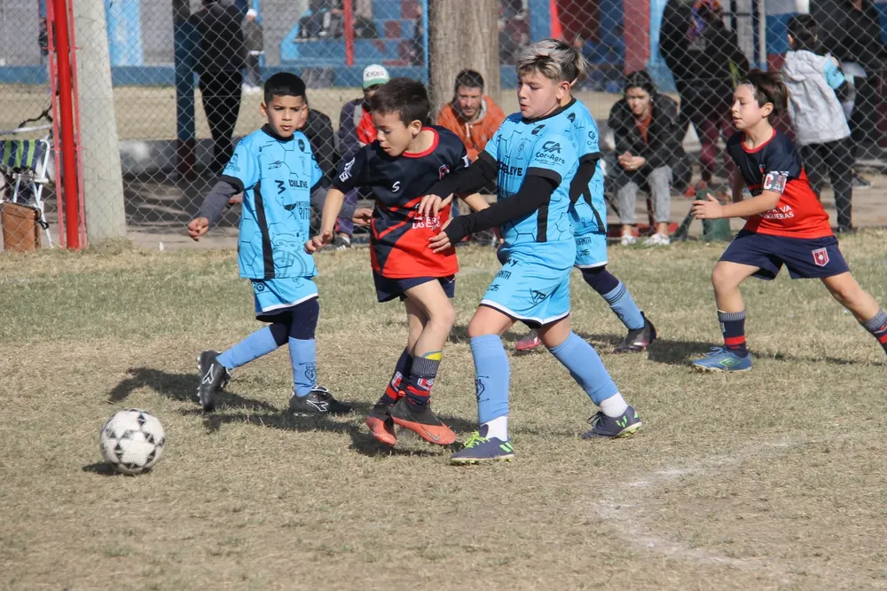 Centro Social San Basilio Santa Paula (261)