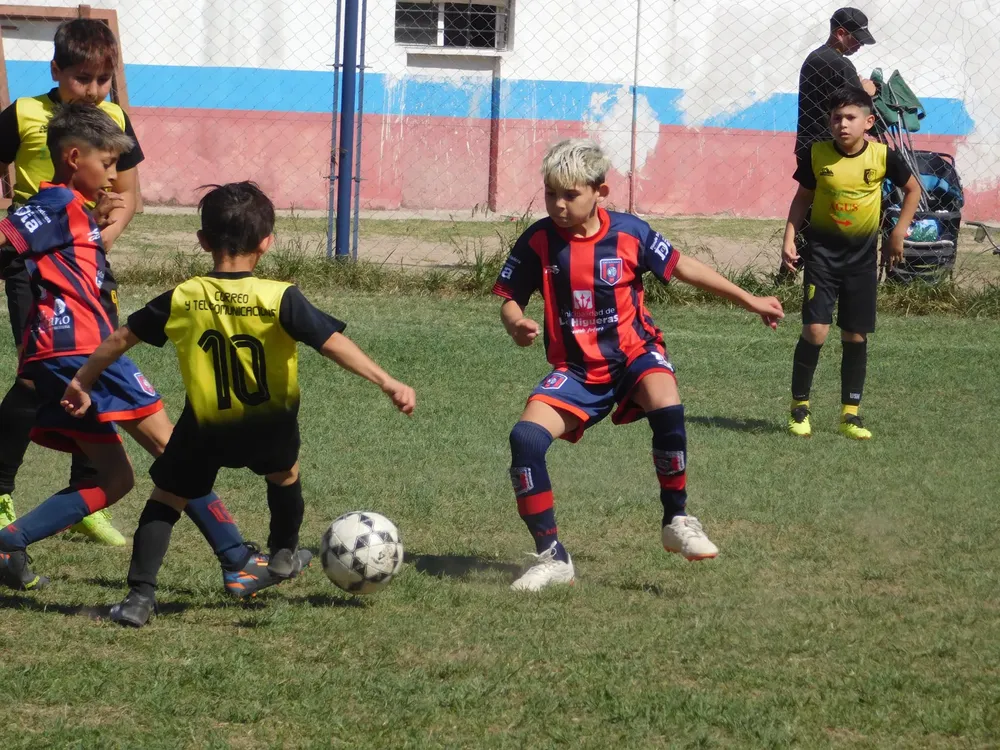 WhatsApp Image 2024-09-29 at 20.23.56